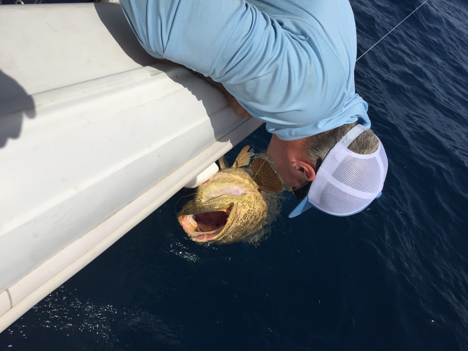 A grouper held boatside at the surface before release, offshore in the Gulf