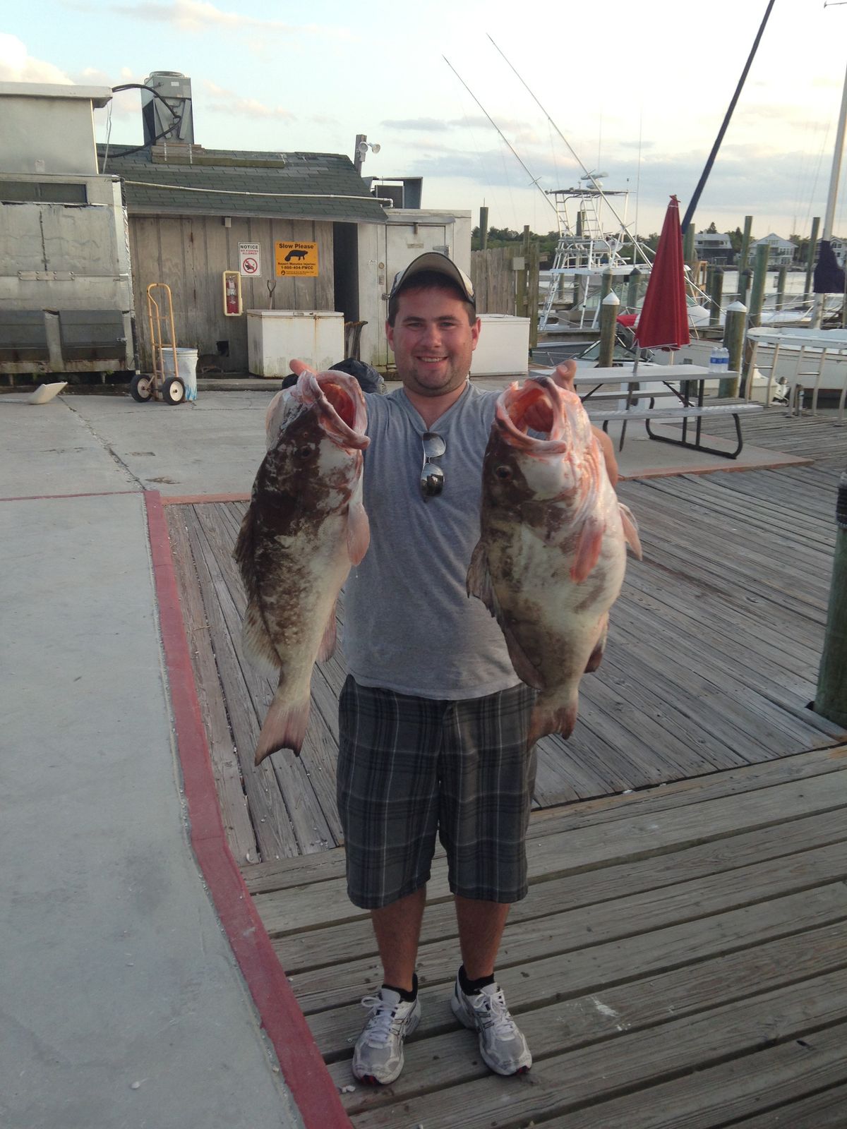 A smiling man holds up two large grouper fish at a marina dock with boats in the background.