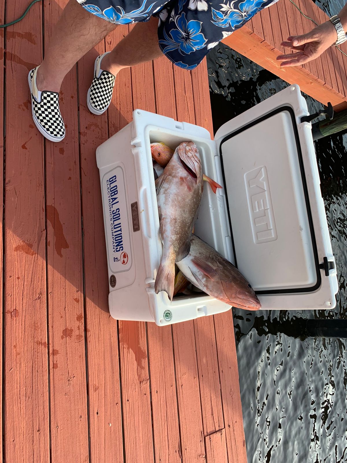 A person's legs and feet stand next to an open white cooler containing grouper on a wooden dock.