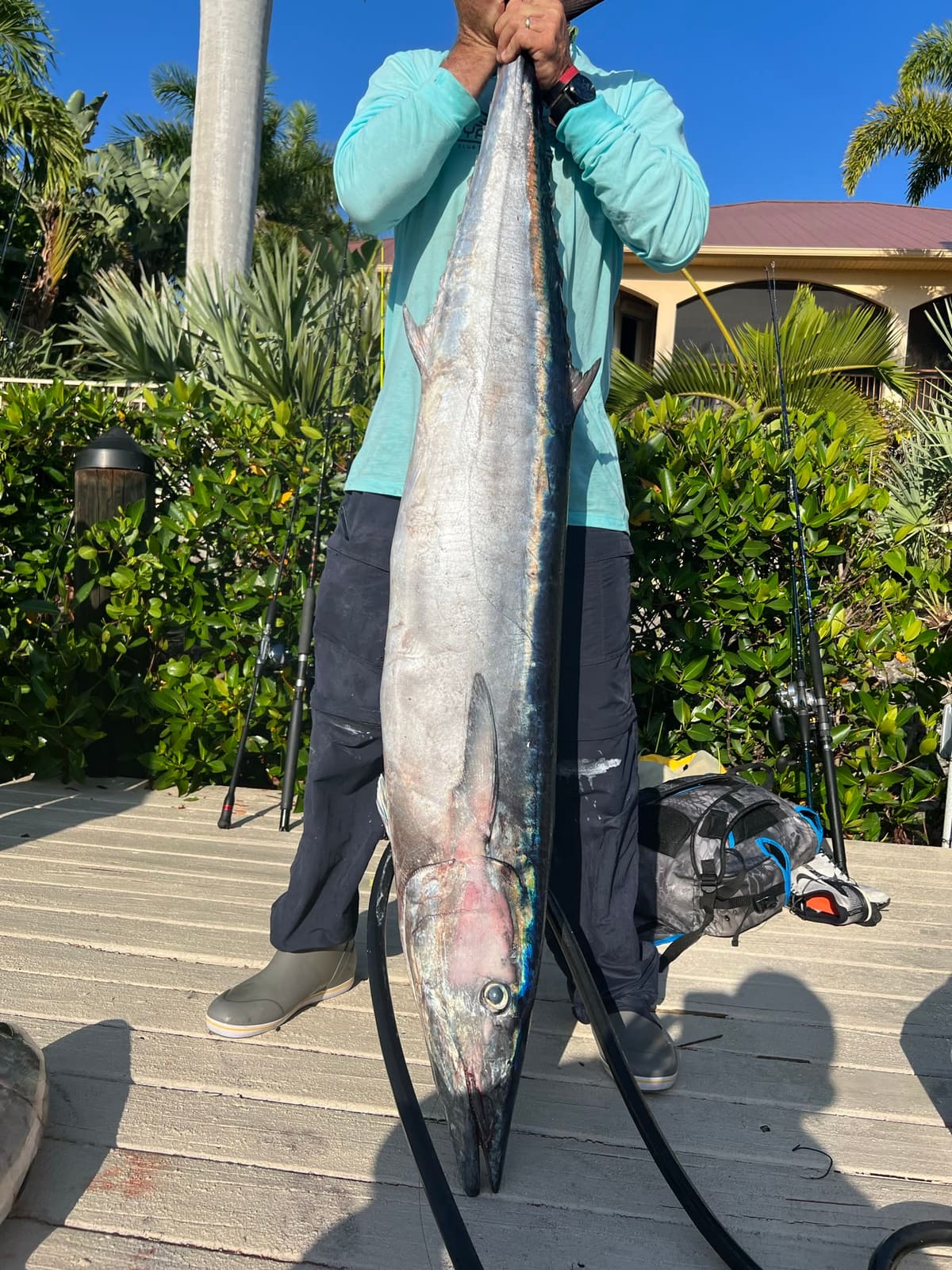 A wahoo, long and torpedo-shaped with a tall dorsal fin, held up at a dock